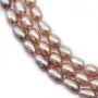  Freshwater Pearle ovale  3-4mm x 40cm