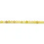 Opal Jaune Ronde facette 3mm x 40cm