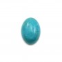 Cabochon Turquoise Oval 10x14mm x 1pc