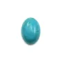 Cabochon Turquoise Ovale 10x14mm x1pc