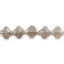 Agate gris trèfle facette 13 mm x 40cm