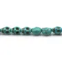 Skull made of reconstituted howlite, turquoise color, 6 * 8mm x 40cm