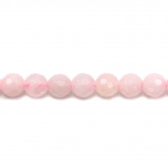 Rose Quartz Faceted Round 8mm x 10pcs 