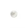 Cabochon Mãe de Pérola redonda plana 10mm x 1pc
