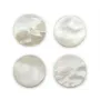 Cabochon Nacre Blanche rond plat 20mm x 1pc