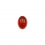 Cabochon cornaline ovale 5x7mm x 4pcs