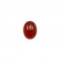 Cabochon carnelian oval 5x7mm x 4pcs