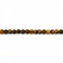 Yellow Tiger Eye Round 4mm x 40cm