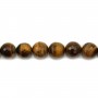 Oeil de tigre Rond Facette 14mm x 40cm