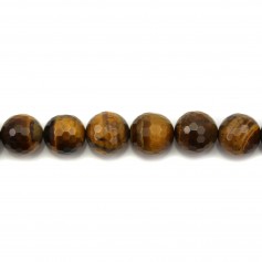Tiger Eye Faceted Round 14mm X2 pcs