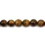 Oeil de tigre Rond Facette 14mm x 2pcs 