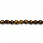 Yellow Tiger Eye Faceted Round 10mm x 40cm