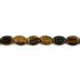 Oeil de tigre Oval 8x12mm x 5pcs