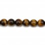 Tiger Eye Round 10mm x 5 pcs