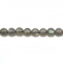 Labradorite Round 4mm x 10pcs 