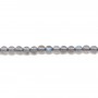 Round labradorite 3mm x 40cm