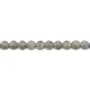 Labradorite ronde plate facette 8mm x 4pcs