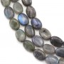Labradorite Ovale 10x14mm x 40cm