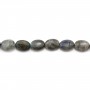 Labradorite Ovale 10x14mm x 40cm
