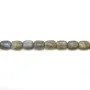 Labradorite Rectangle 8x12mm x 40cm