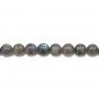 Labradorite Round 14mm x 40cm