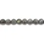 Labradorite Faceted Round 8mm x 40cm