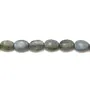 Labradorite Ovale 13x18mm x 40cm