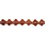 Jaspe rouge trèfle facette 13mm x 2pcs