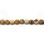 Jaspe paysage matte ronde 8mm x 10pcs