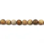 Jaspe paysage matte ronde 10mm x 5pcs