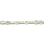 Nacre blanche en oval creux 4x6mm x 12pcs