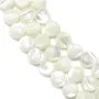 Nacre blanche en rond plat sur fil 6mm x 40cm