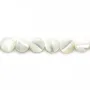 Nacre blanche en rond plat 6mm x 12 pcs