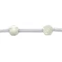 Nacre blanche en forme de rose 8mm x 2pcs