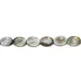 Nacre grise en forme d'ovale facetté 10x14mm x 4 pcs