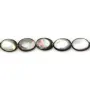 Nacre grise en forme d'oval bombé 15x20mm x 2pcs