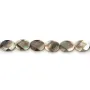 Nacre grise en ovale facetté sur fil 12x16mm x 40cm
