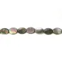 Nacre grise de forme ovale sur fil 10x14mm x 40cm
