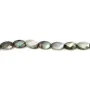 Nacre grise en forme d'oval facetté 6x10mm x 6 pcs