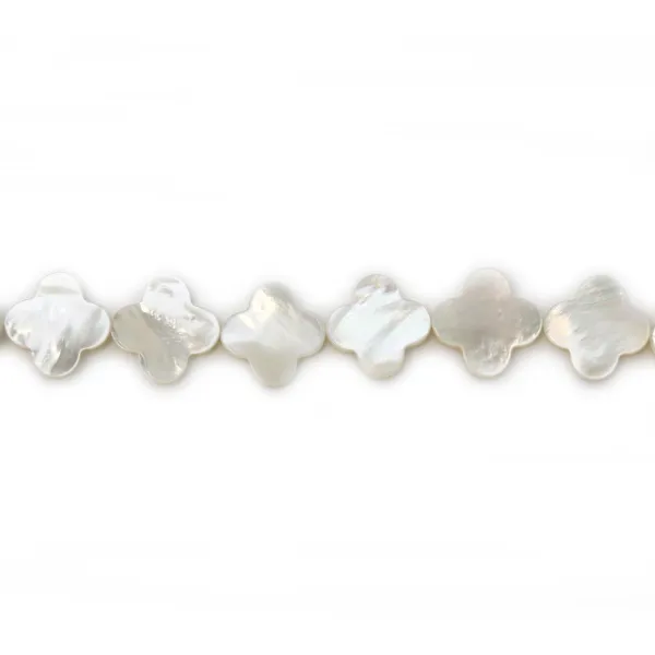 Nacre blanche en forme de trèfle sur fil 18mm x 40cm