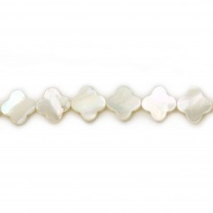 White mother-of-pearl clover beads on thread 10mm x 40cm