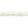 Nacre blanche en forme de croix sur fil 8mm x 40cm