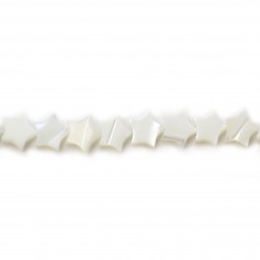 White mother-of-pearl star beads 8mm x 4pcs