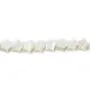 Nacre blanche en forme d'étoile 8mm x 4pcs