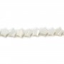 White mother-of-pearl star beads 8mm x 4pcs