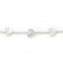 Nacre blanche en forme de canard 10x10mm x 2pcs