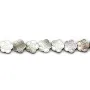 Nacre d'abalone en forme de fleur sur fil 18mm x 40cm