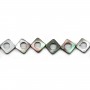 String of Gray shell  rhombus 22 mm x 40 cm