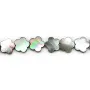 Nacre Grise en Forme de  Fleur 6 Pétales 15 mm x 4 st
