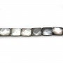 Nacre grise en rectangle facetté sur fil 10x14mm x 40cm